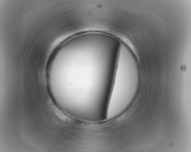 X0000091851072200709050930
