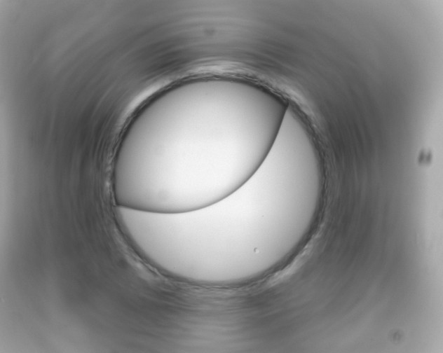 X0000091851073200709050930