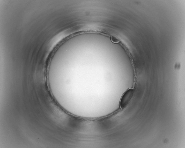 X0000091851075200709050930