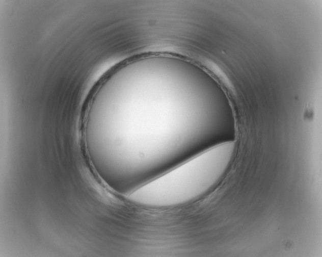 X0000091851076200709050930