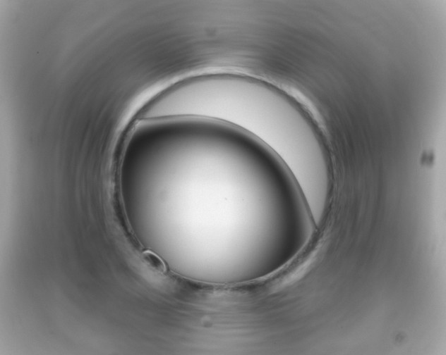 X0000091851077200709050930
