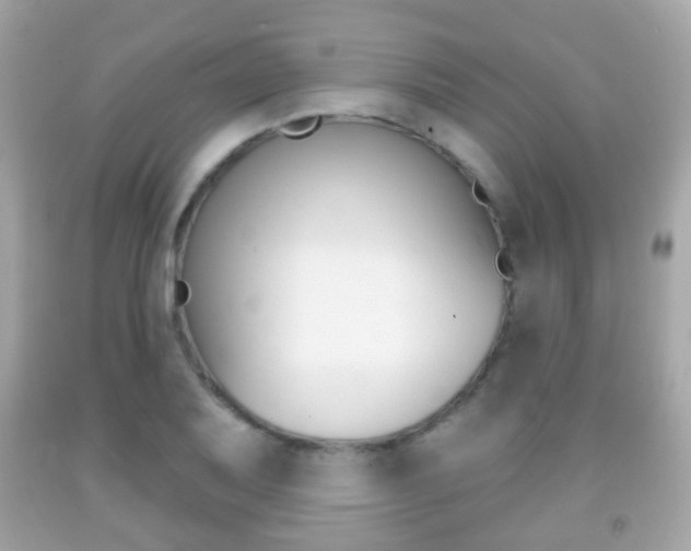 X0000091851079200709050930