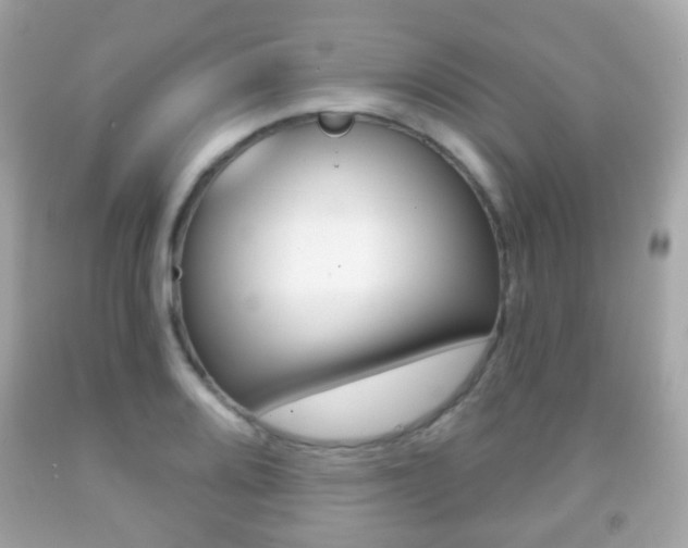 X0000091851080200709050930