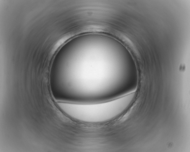 X0000091851081200709050930