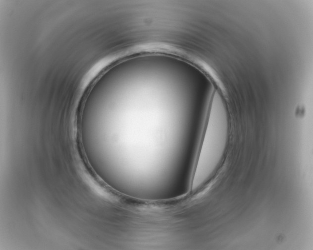 X0000091851082200709050930