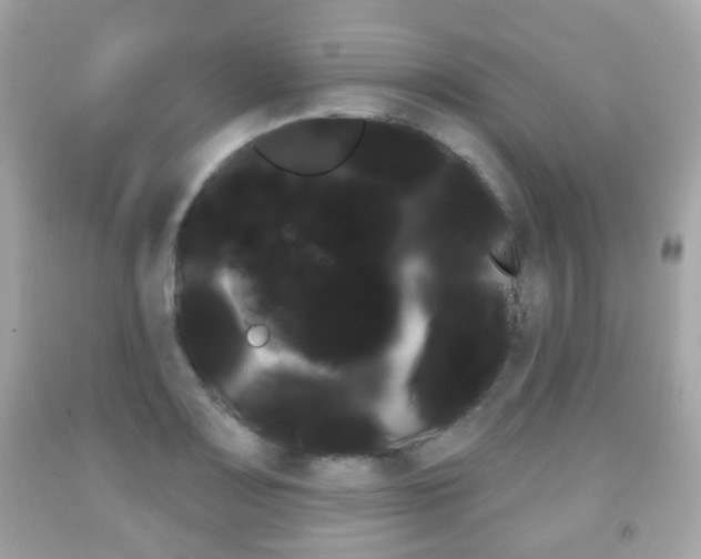 X0000091851083200709050930