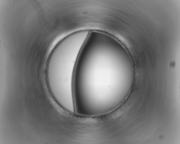X0000091851085200709050930
