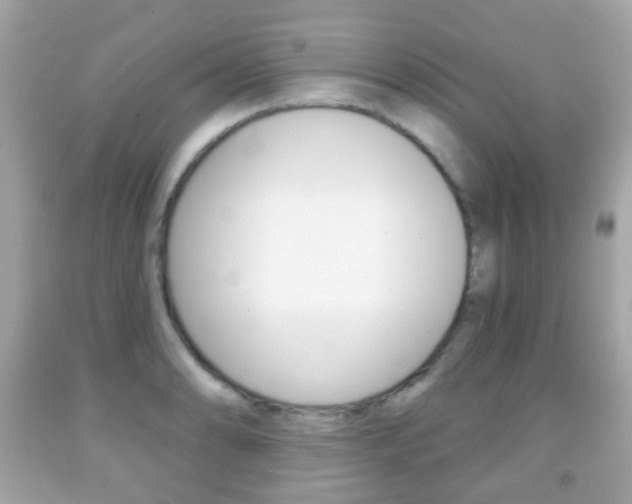X0000091851086200709050930