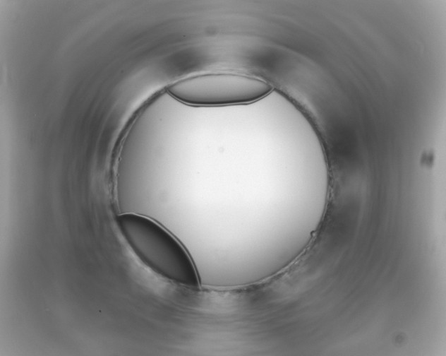 X0000091851087200709050930