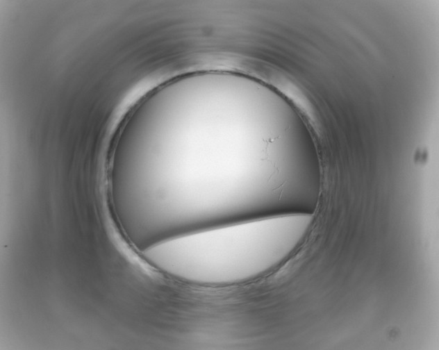 X0000091851088200709050930