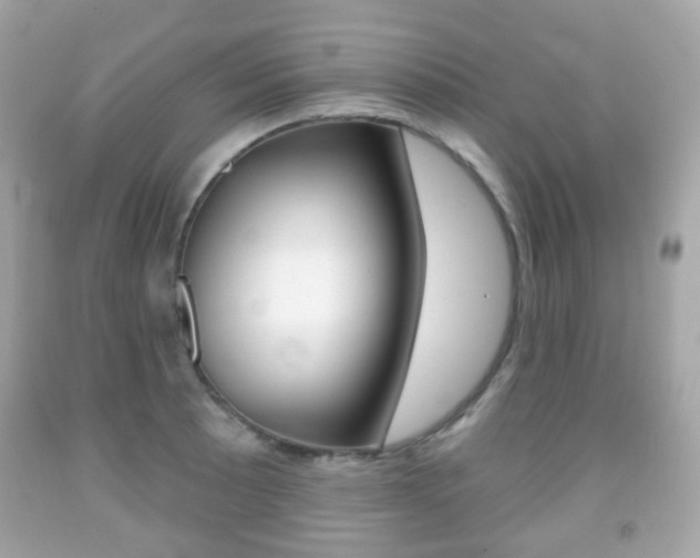 X0000091851089200709050930