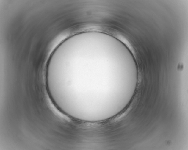X0000091851090200709050930