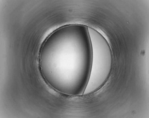 X0000091851093200709050930