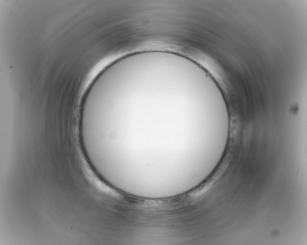 X0000091851094200709050930