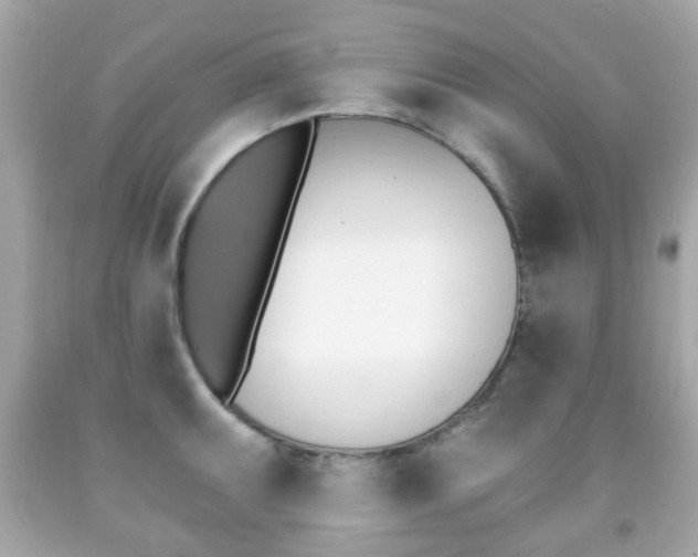 X0000091851095200709050930