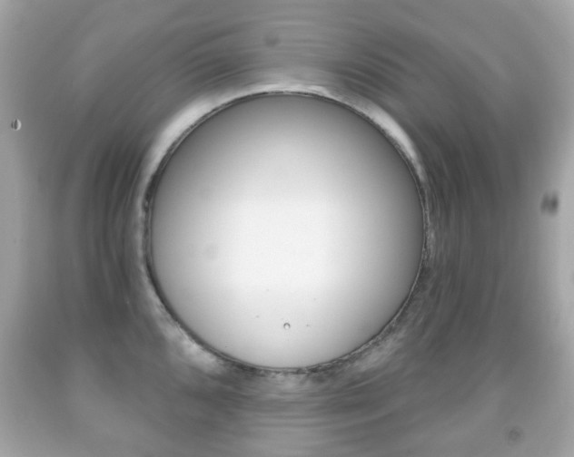 X0000091851096200709050930