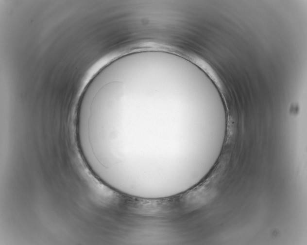 X0000091851098200709050930