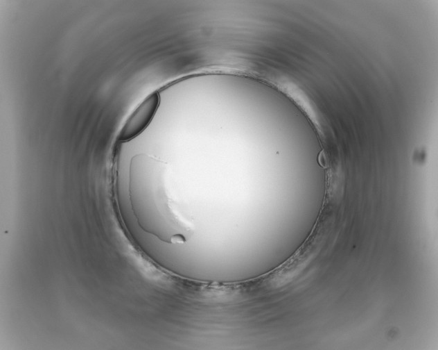 X0000091851099200709050930