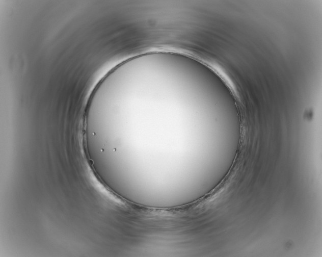 X0000091851100200709050930