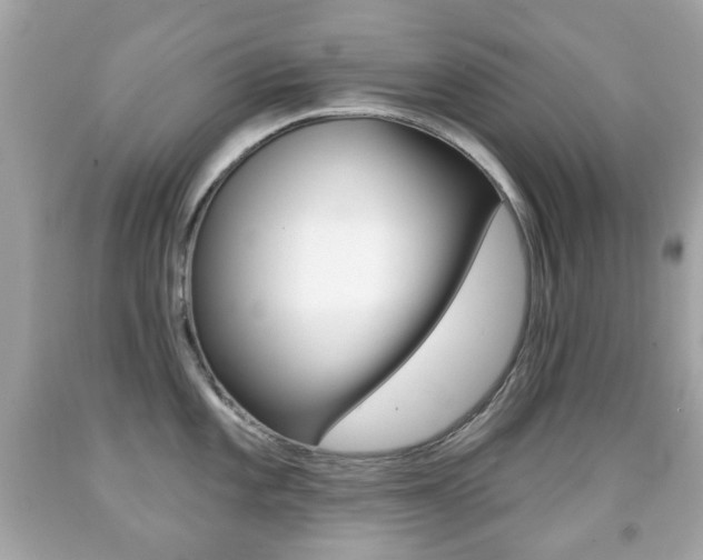 X0000091851101200709050930