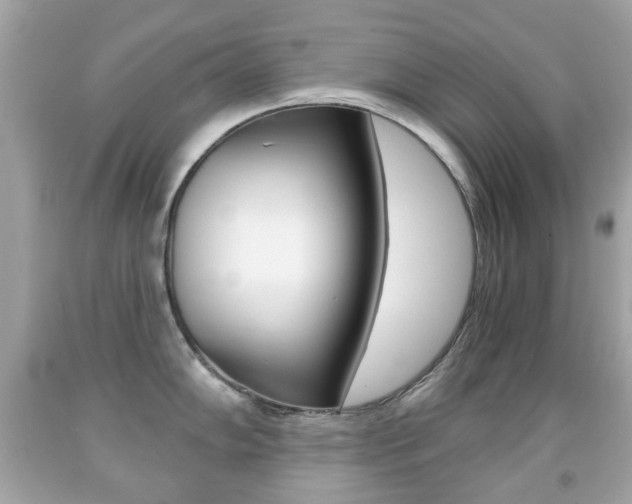 X0000091851102200709050930