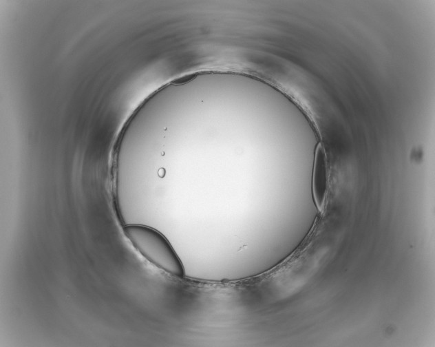 X0000091851103200709050930