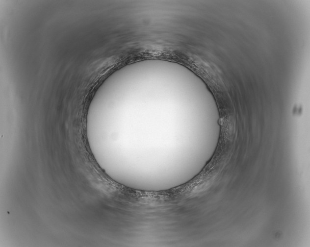 X0000091851105200709050929
