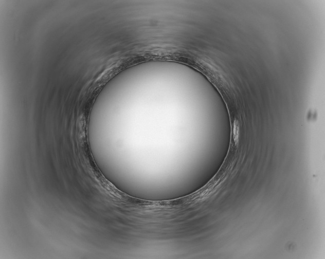 X0000091851107200709050929