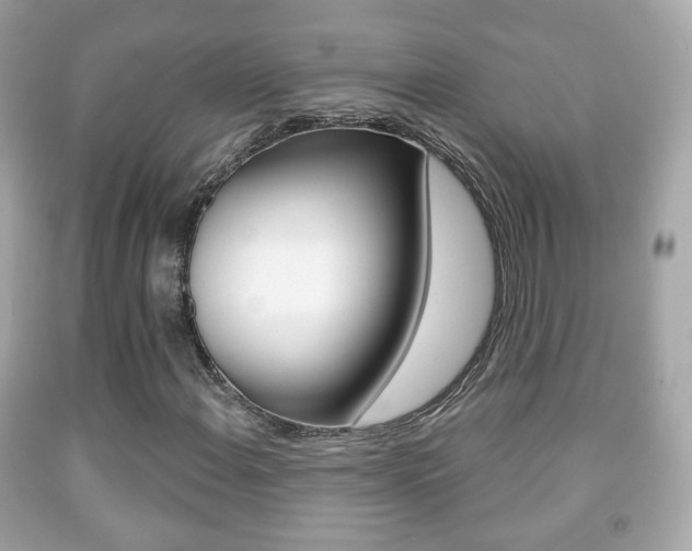 X0000091851108200709050929