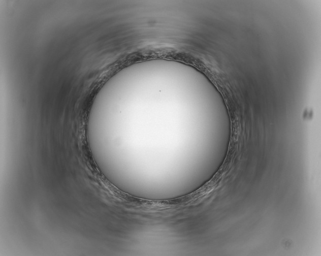 X0000091851109200709050930