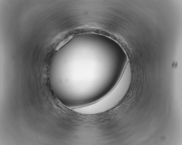 X0000091851110200709050930