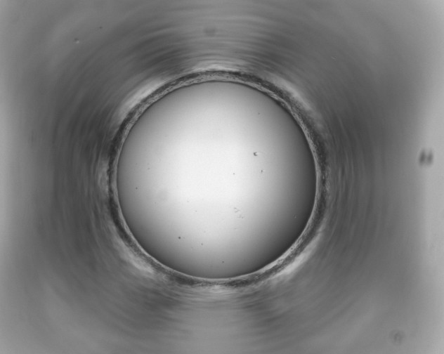 X0000091851113200709050930