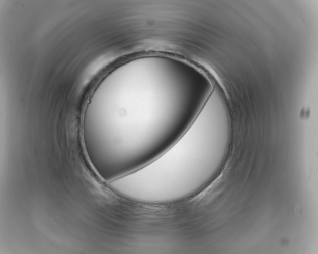 X0000091851115200709050930