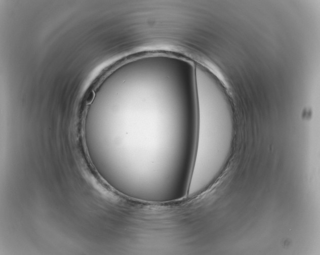X0000091851116200709050930