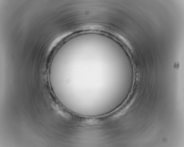 X0000091851117200709050930