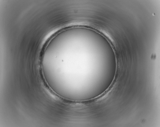X0000091851119200709050930