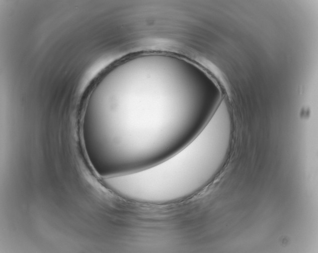X0000091851120200709050930