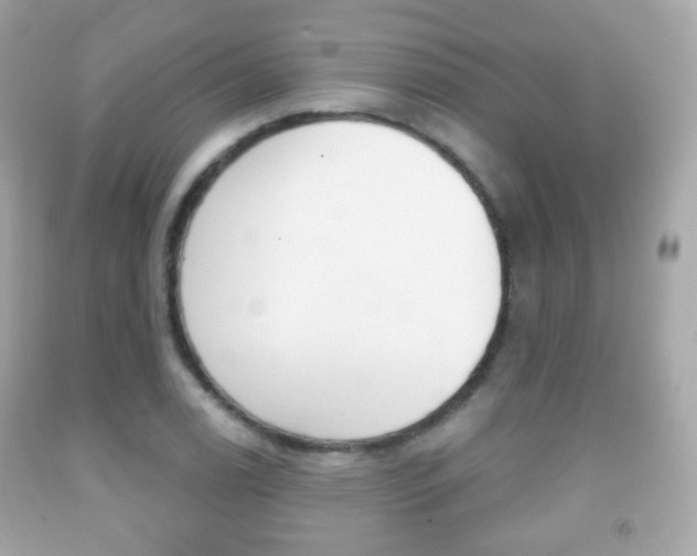 X0000091851122200709050930