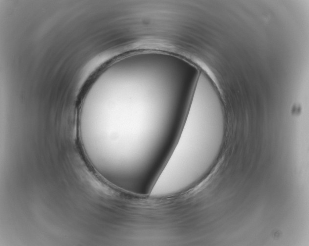 X0000091851123200709050930