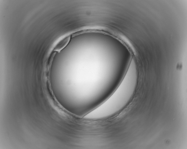 X0000091851124200709050930