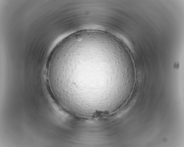 X0000091851125200709050930