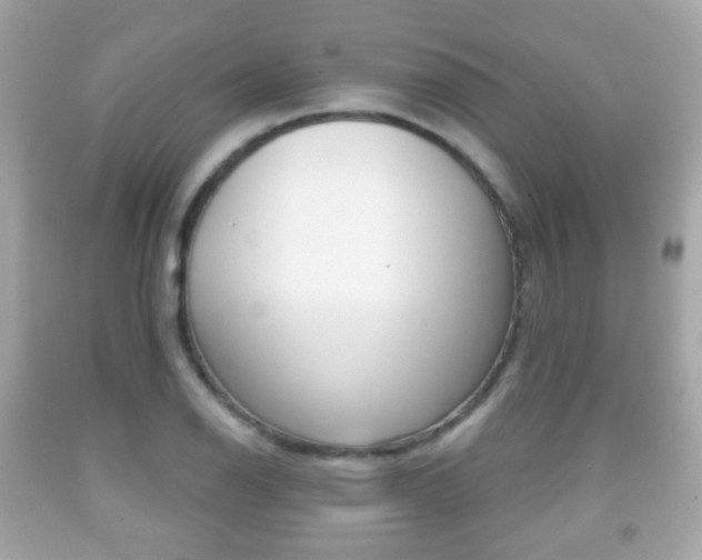 X0000091851126200709050930
