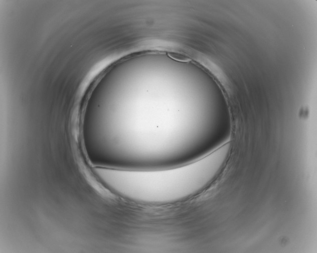 X0000091851128200709050930