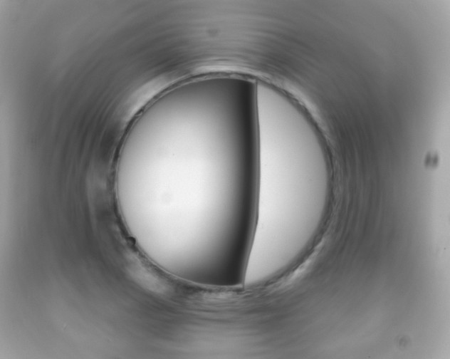 X0000091851129200709050930