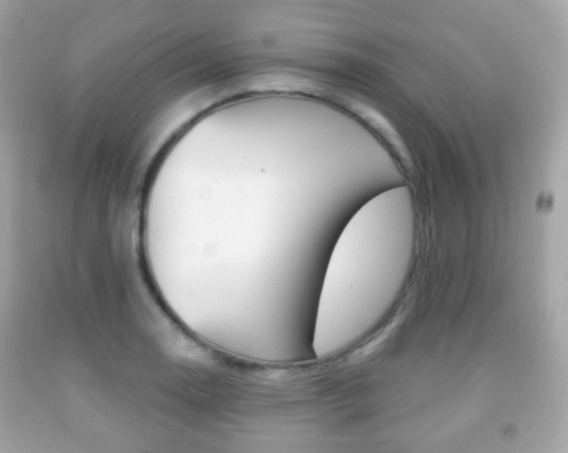 X0000091851130200709050930
