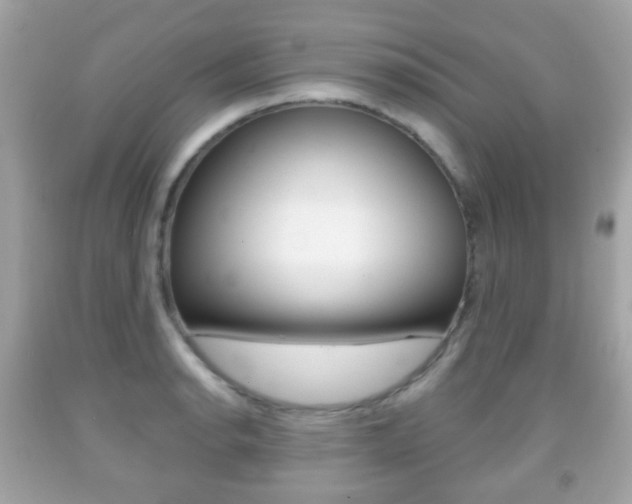 X0000091851134200709050930