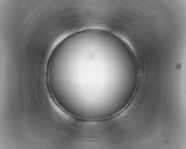X0000091851135200709050930