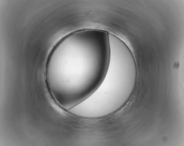 X0000091851136200709050930