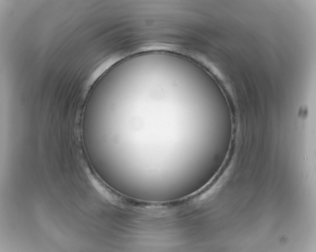 X0000091851137200709050930
