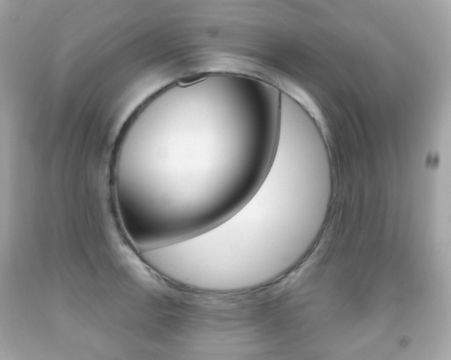 X0000091851138200709050930